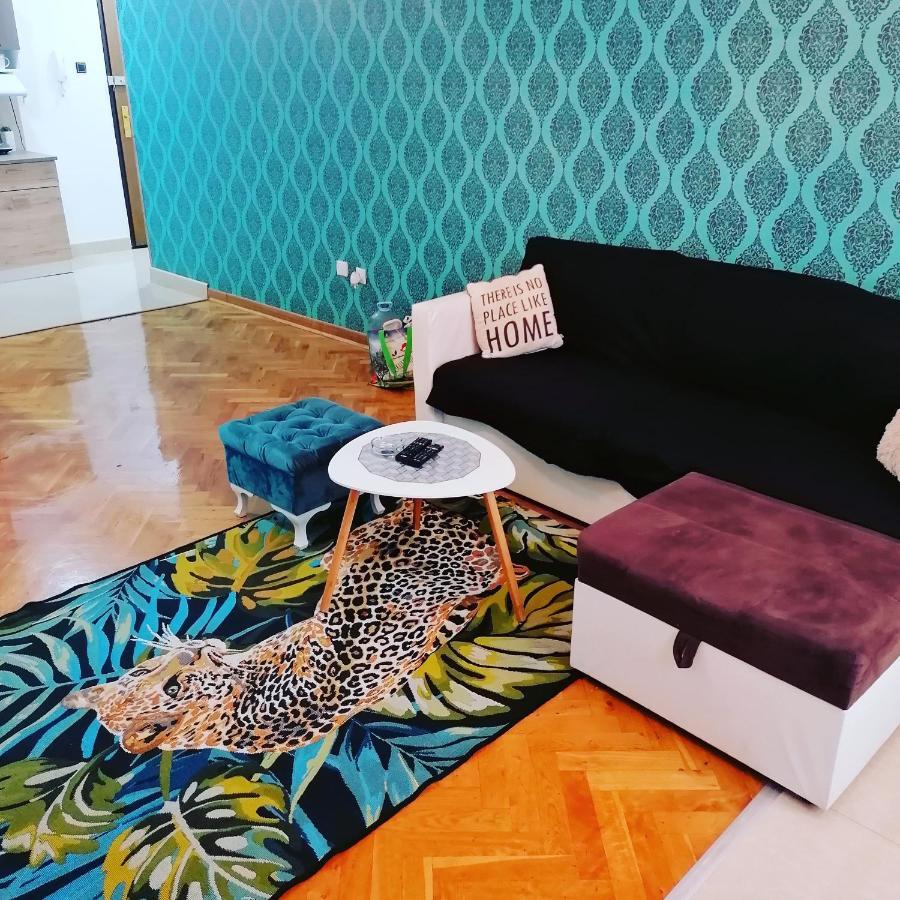 Marina Jacuzzi Apartment Free Parking Novi Sad Exterior foto